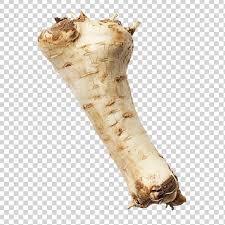 Attēlu rezultāti vaicājumam “Astragalus danicus fruit”