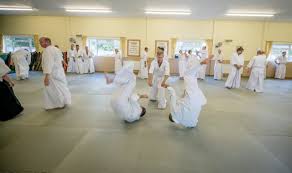 Image result for Ki Aikido (Epsom Ki Aikido