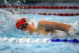 Image result for Morpeth Amateur Swimming Club