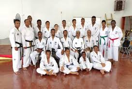 Image result for Red Dragon Taekwondo club