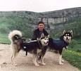 Wolf Packs® - Blog
