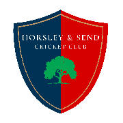 Image result for Horsley & Send Cricket Club