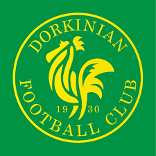 Image result for Dorking Football Club Limited