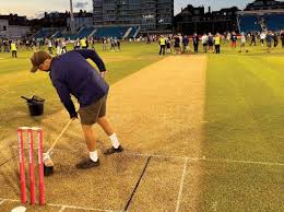 Image result for Pulborough Cricket Club