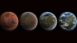 Image result for mars trees