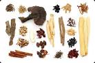 Ten Traditional Chinese Herbs | TCM.