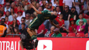 Image result for Whyteleafe Netball Club