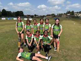 Image result for Chard Cricket Club