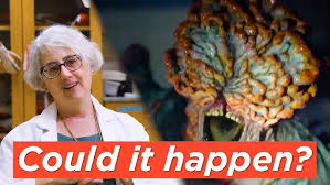 Attēlu rezultāti vaicājumam “Cordyceps”