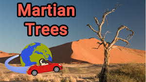 Image result for mars trees