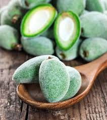 Image result for fresh green almonds