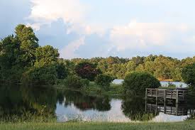 Image result for Backwell Sc