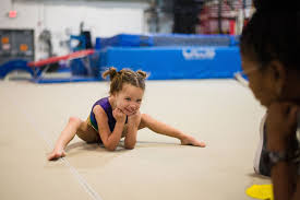 Image result for Tessaro Gymnastics Club