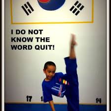 Image result for Full Element Mixed Martial Arts