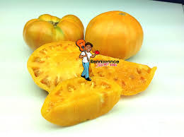 Afbeeldingsresultaat voor amana orange beefsteak tomato