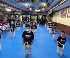 Image result for York University Taekwondo Club