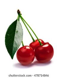 Attēlu rezultāti vaicājumam “Cerasus leaf”