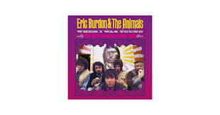 Attēlu rezultāti vaicājumam “Diderma montanum var. album young”