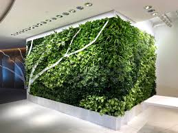 Image result for living wall