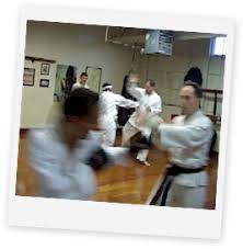 Image result for Everitt Karate Academy
