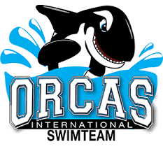 Image result for Ilfracombe Orcas Octopush Club