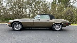 Image result for Fern Gray 1973 Jaguar