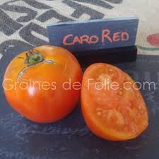 Afbeeldingsresultaat voor caro rich tomato