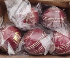 Image result for Bay Dragons CC