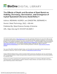 Image result for Speedwell Ttc