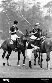 Image result for Woolmers Park Polo Club