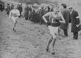 Image result for Bolton United Harriers & Athletics Club