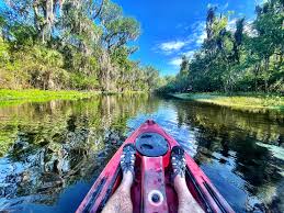 Image result for Poole Harbour Canoe Club