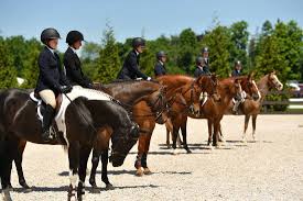 Image result for Oxford Riding Club