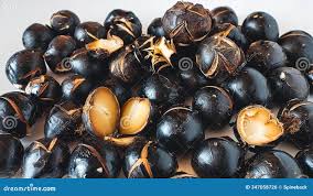 Attēlu rezultāti vaicājumam “Eleocharis uniglumis fruit”