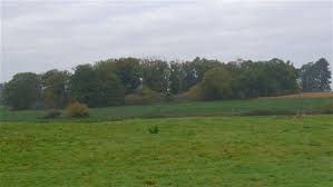 Image result for Glevering Badminton Club