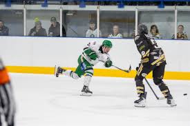 Image result for Basingstoke Bison Ice Hockey Club
