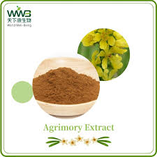 Attēlu rezultāti vaicājumam “Agrimonia pilosa”