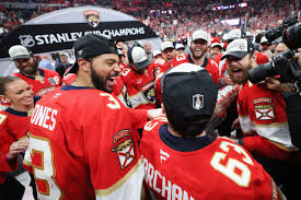 Image result for Pentland Panthers