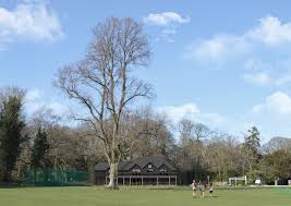 Image result for Chorleywood Cricket Club