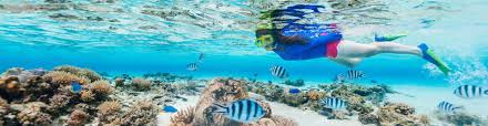 Image result for St. Albans Snorkelling Club (SASC)
