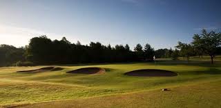 Image result for Ravensworth Golf Club Ltd