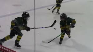 Image result for Gloucester Blazers