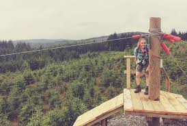 Image result for Go Ape! Grizedale