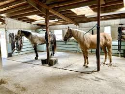 Image result for Lower Farm Stables