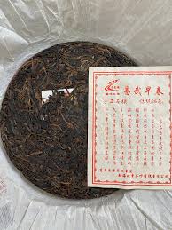 Image result for 2009早春