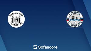 Image result for Sherborne Town Football Club