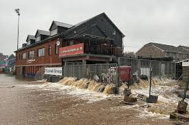 Image result for Sarsfields Hurling Club