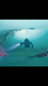 Image result for Breakwater Divers