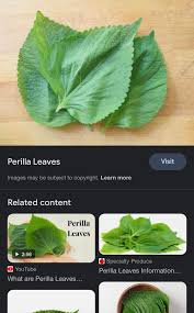 Image result for 깱깲깳깴깵깶깷깺깾깿꺀꺁꺂꺃꺆꺇꺈꺉꺊꺋꺍꺎꺏꺐