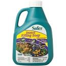 Safer Insecticidal Soap Concentrate (